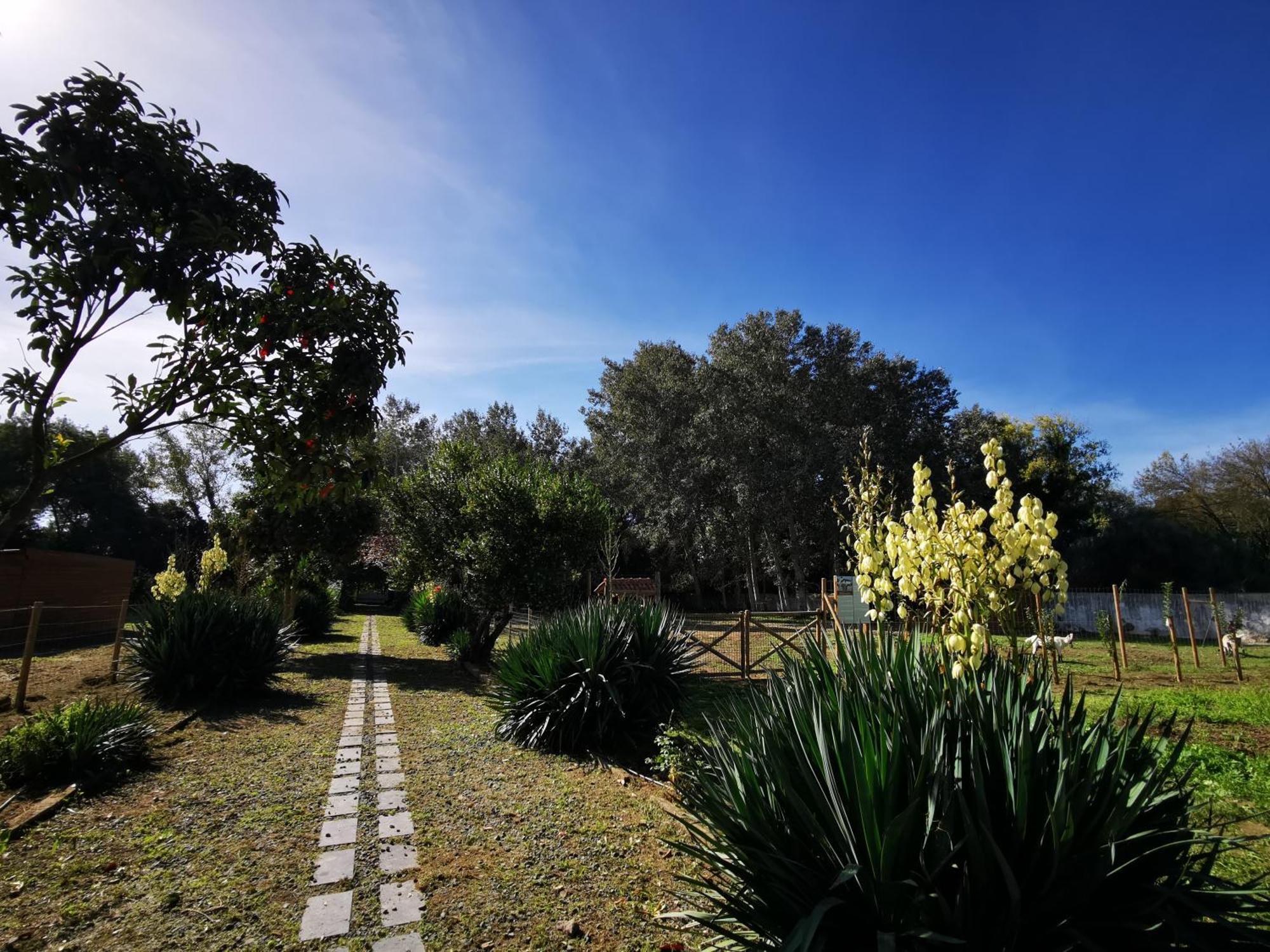 Villa Quinta Do Louredo - Évora Exterior foto